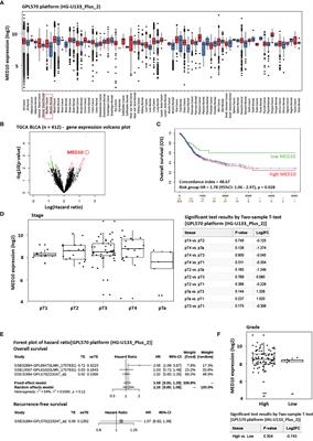 MED10 Drives the Oncogenicity and Refractory Phenotype of Bladder Urothelial Carcinoma Through the Upregulation of hsa-miR-590